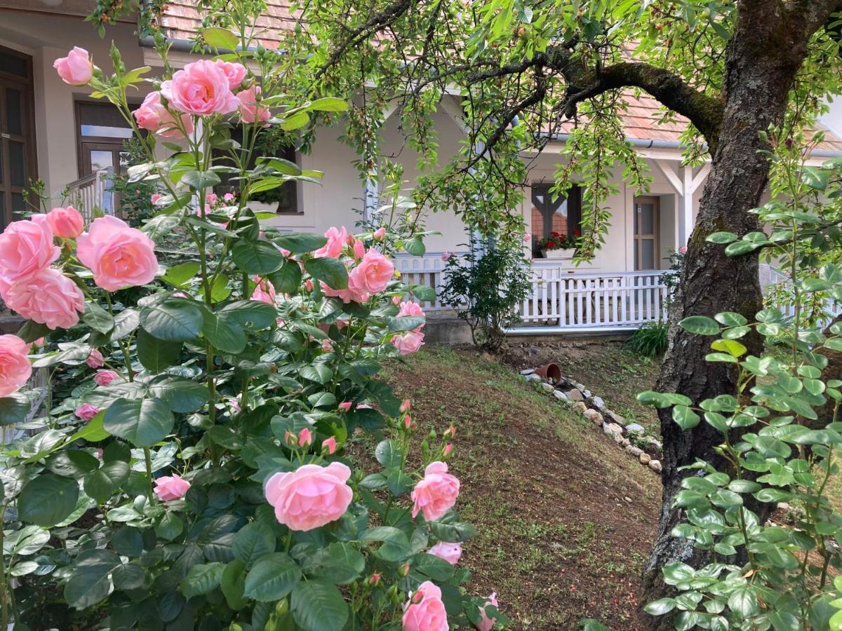 Bed and Breakfast Fogado A Ket Toelgyfahoz Sümeg Exterior foto